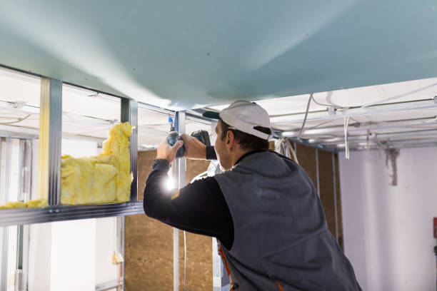 Best Insulation Installation Services in Maiden, NC