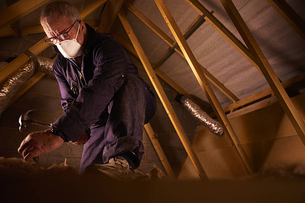 Best Insulation Maintenance and Repair in Maiden, NC